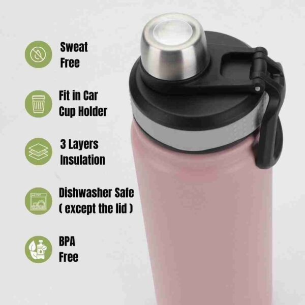 22oz Insulated Stainless Steel Shaker Bottle