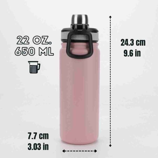 22oz Insulated Stainless Steel Shaker Bottle
